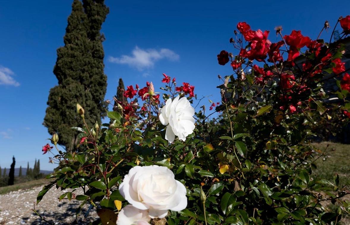 Agriturismo Il Ghiaccio Suvereto Eksteriør bilde